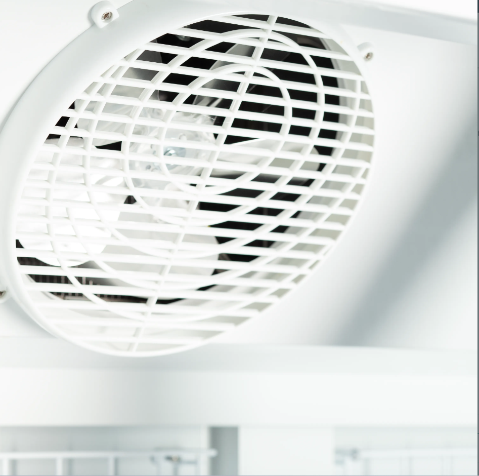 Atom Maxi F2DB Display Freezer