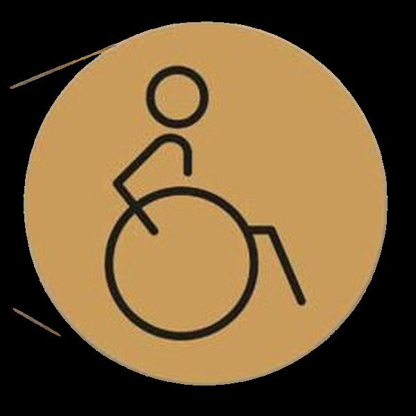 Disabled Toilet Door Symbol Left 150mm Gold Ds057