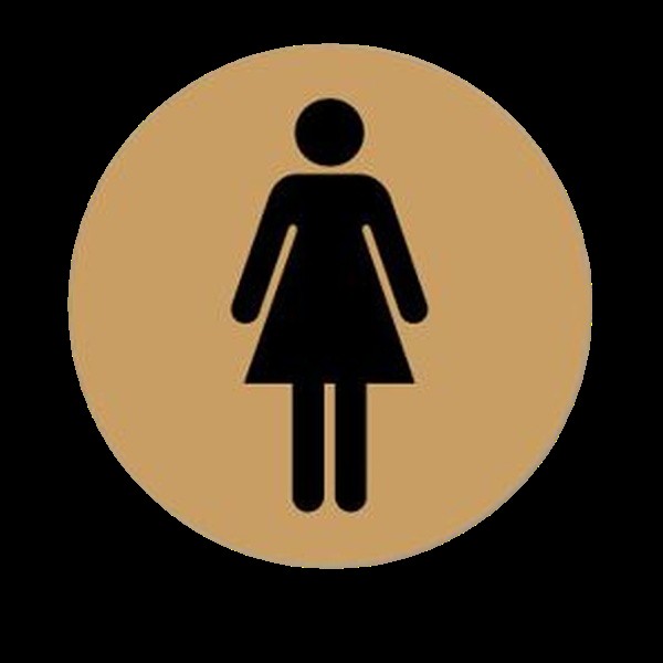 Ladies 75mm Diameter Toilet Door Disc - Gold Ds109