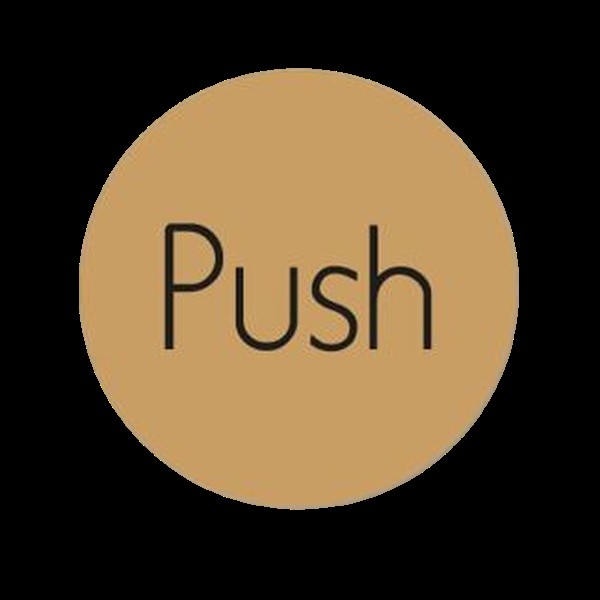 Push 75mm Diameter Door Disc Gold Ds117