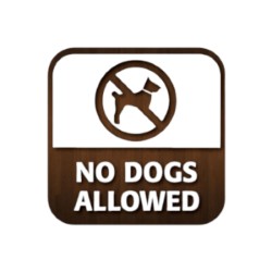 No Dogs Alloved 80x80mm Window Sticker