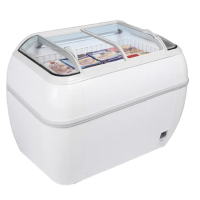 DUPLA 2.2DE HC High Vision Freezer White
